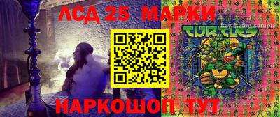 гашик Гусь-Хрустальный