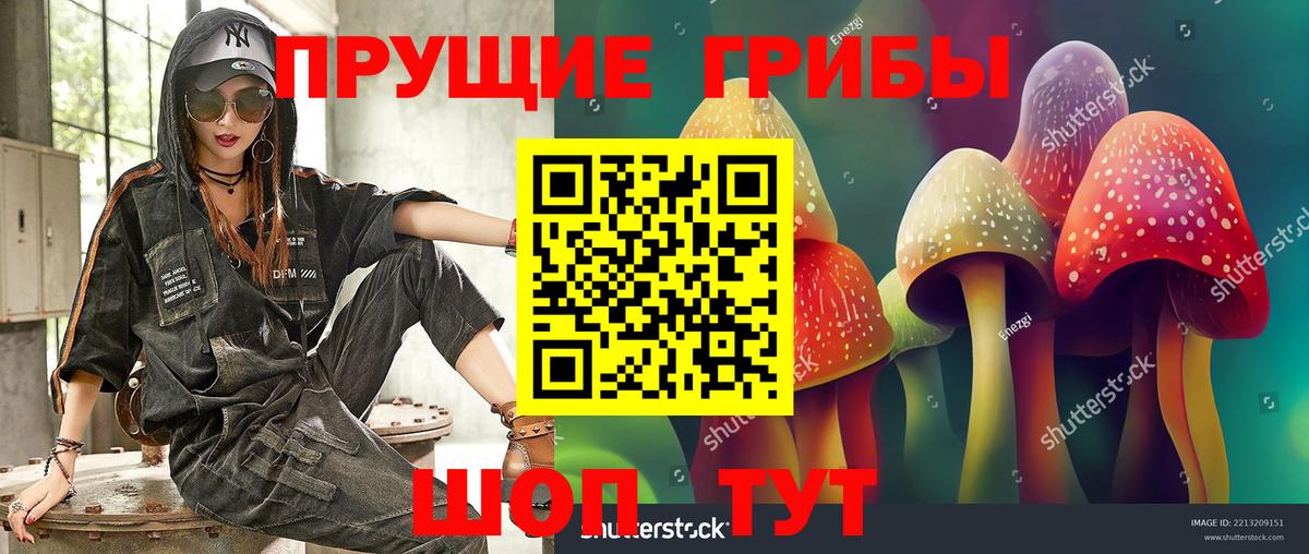 Псилоцибиновые грибы Psilocybine cubensis  Вход с VPN  Морозовск 